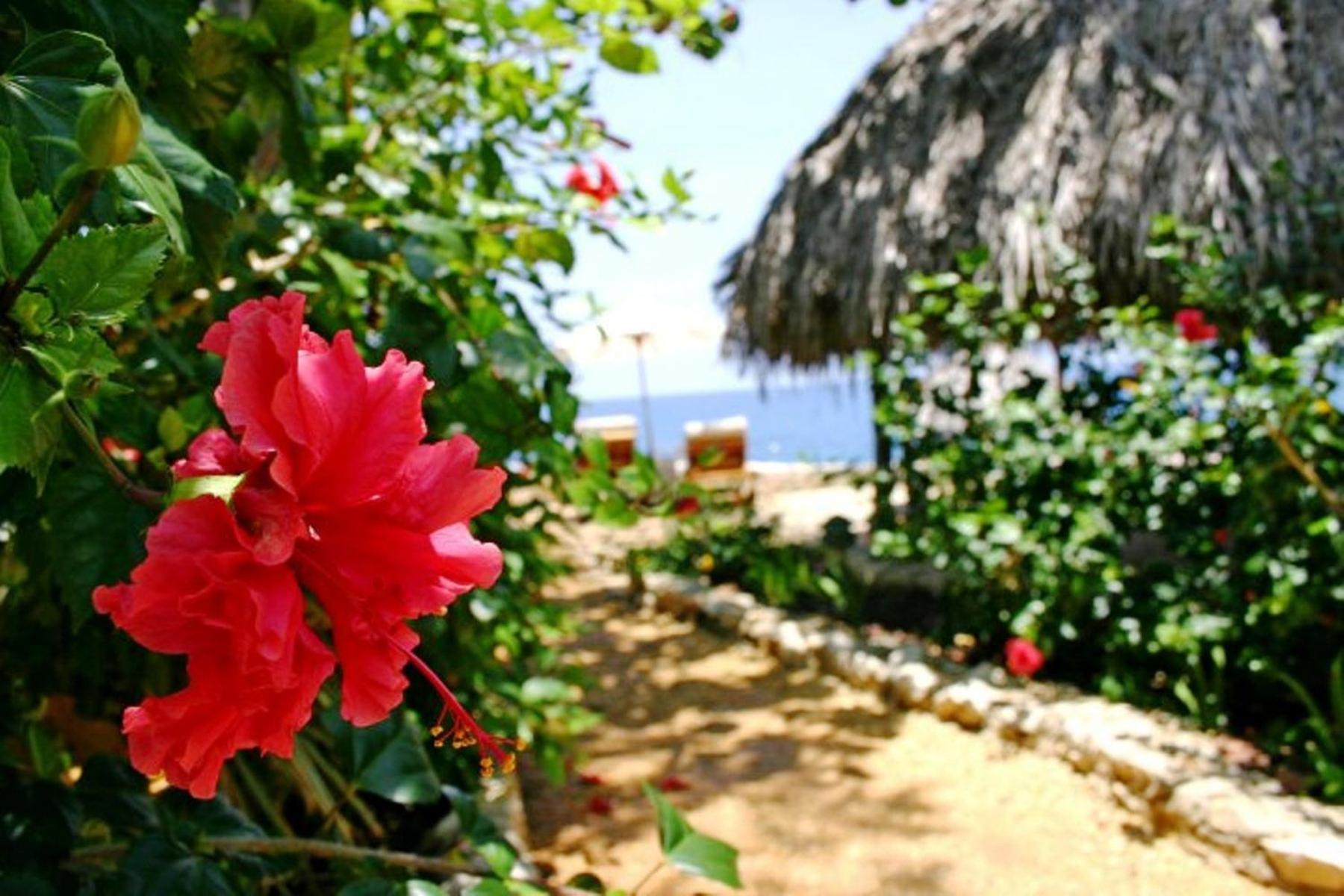 Tensing Pen Negril Buitenkant foto